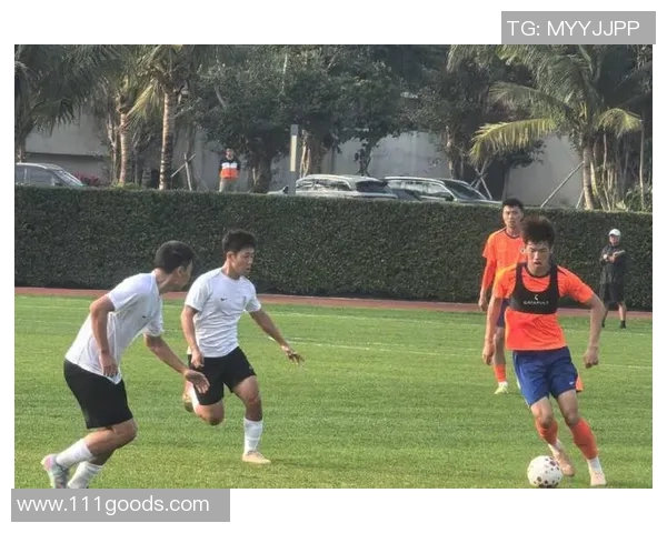 德甲球队冬训备战:突出体能训练,全面提升球员状态 德甲球队冬训备战:突出体能训练,全面提升球员状态